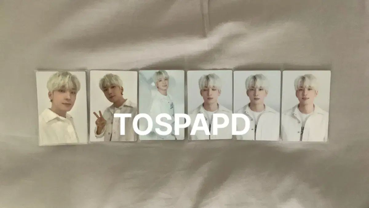 新品未開封 seventeen ウォヌ バパケ SEVENTEEN ウォヌ バパケ 2021