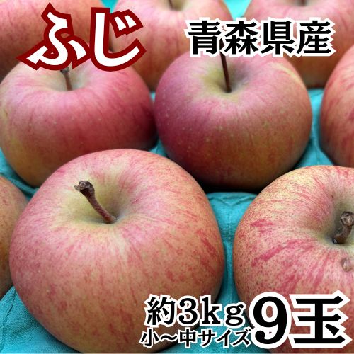信頼も高い りんご ふじ 3㎏9玉 青森県産 リンゴ≪送料無料≫ 小～中 果物