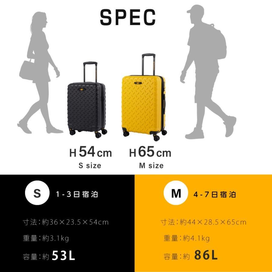 機内持ち込み