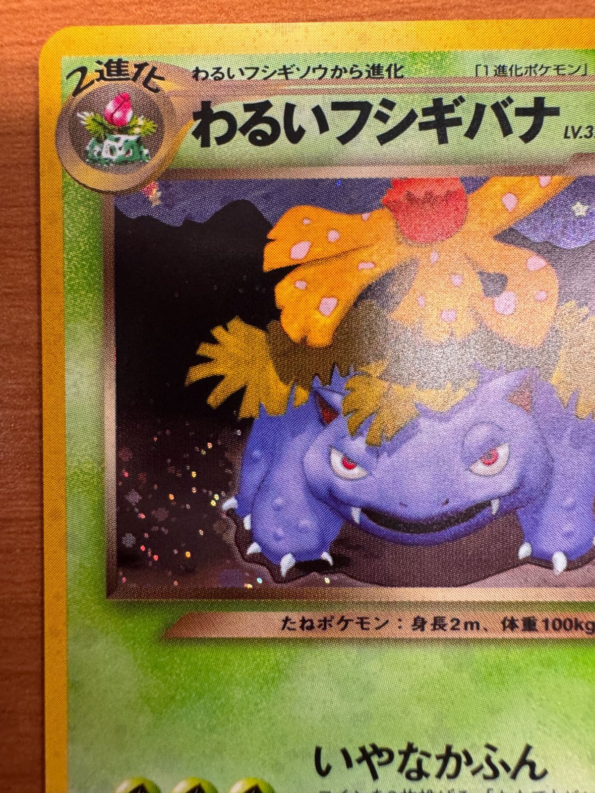 わるいフシギバナ No.003 わるいフシギバナ No.003 わるいフシギバナ No.003 - メルカリ