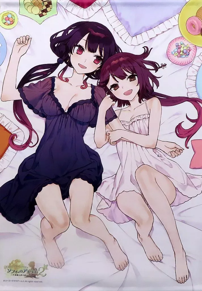 2025年最新】ソフィーのアトリエ2 b2ダブルスエードタペストリーの人気