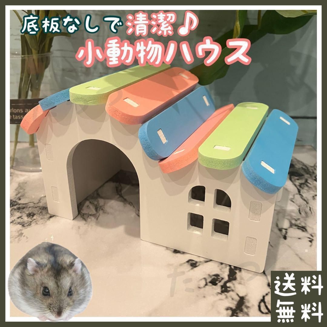 小動物 ハムスター ハウス 虹色(□ジャンガリアン