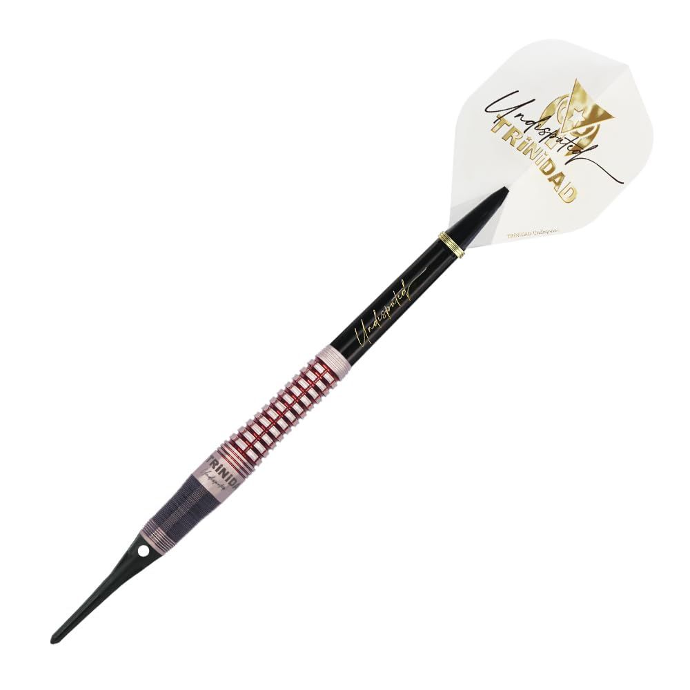新品送料込み☆トリニダード☆ロメロ 2 岩田夏海モデル21g ダーツ バレル TRiNiDAD Undisputed ROMERO2 21g 岩田夏海 選手