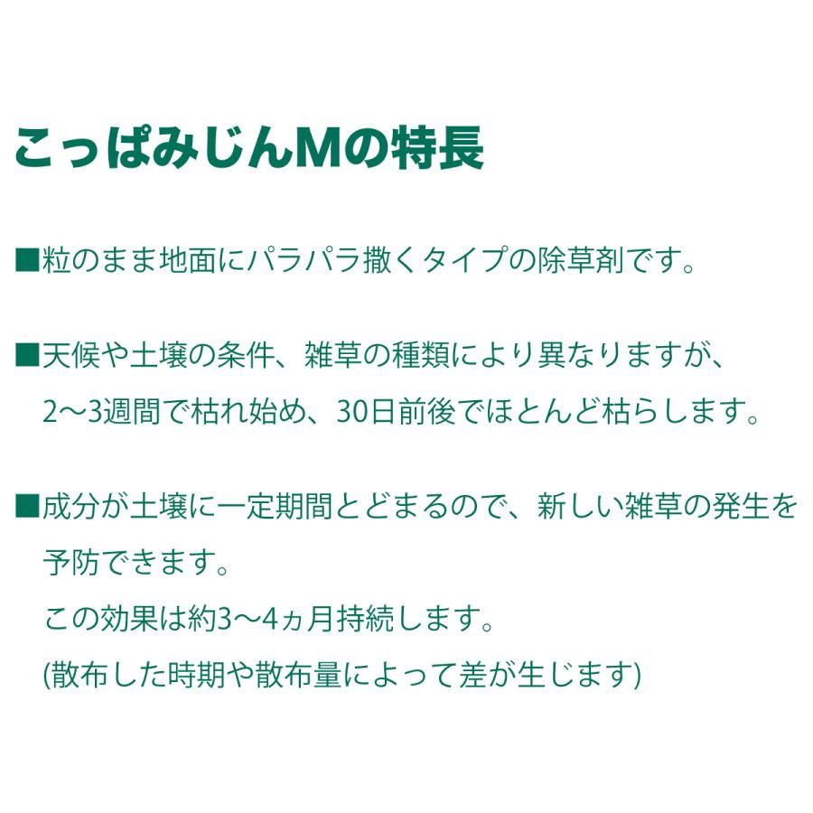 6個セット レインボー薬品