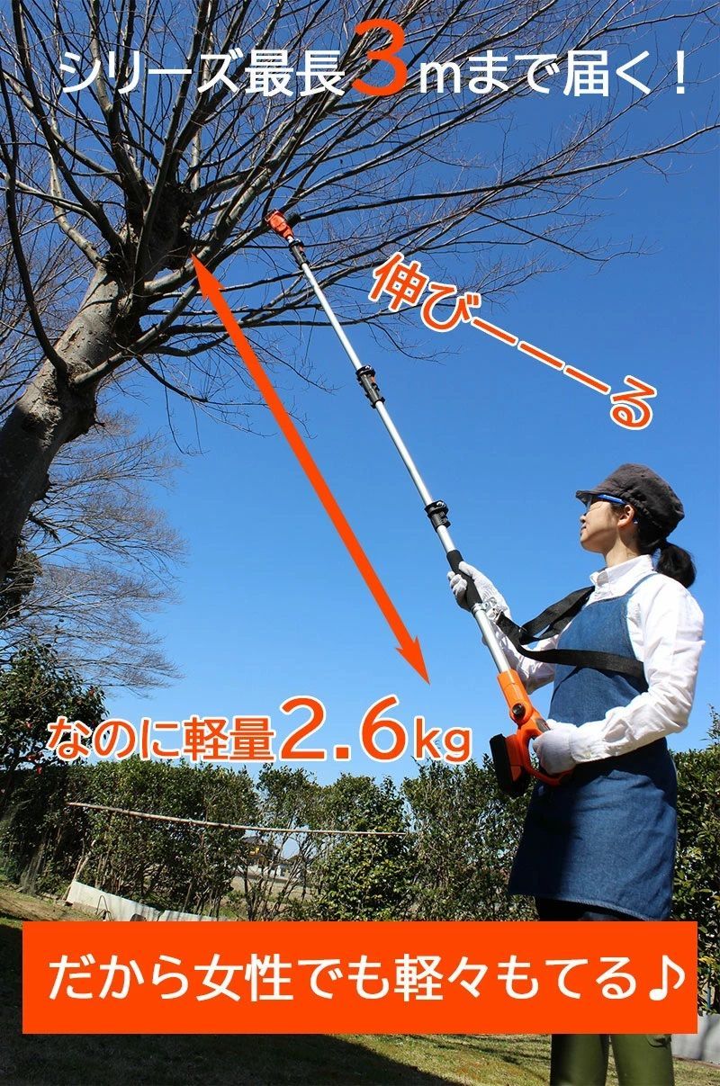 高枝コードレス電動のこぎり 3m