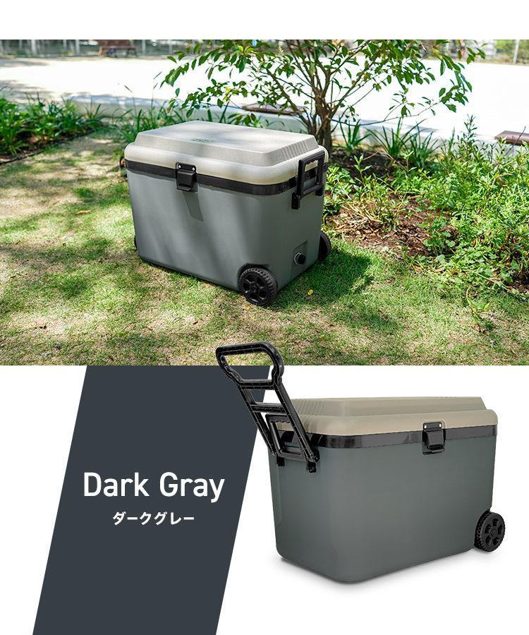 48リットル 冷蔵ボックス