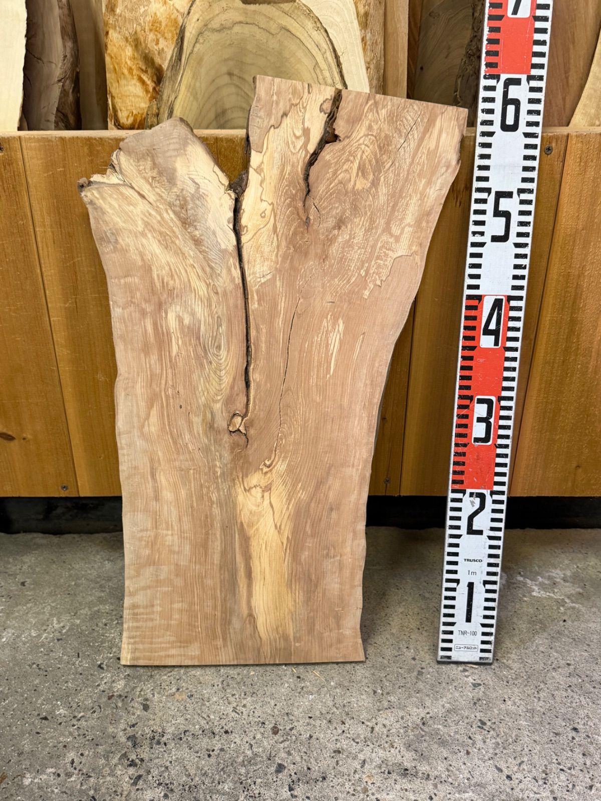 欅 一枚板 激レア❗️ 激レアスポルト 】ツバキ 椿 板 一枚板