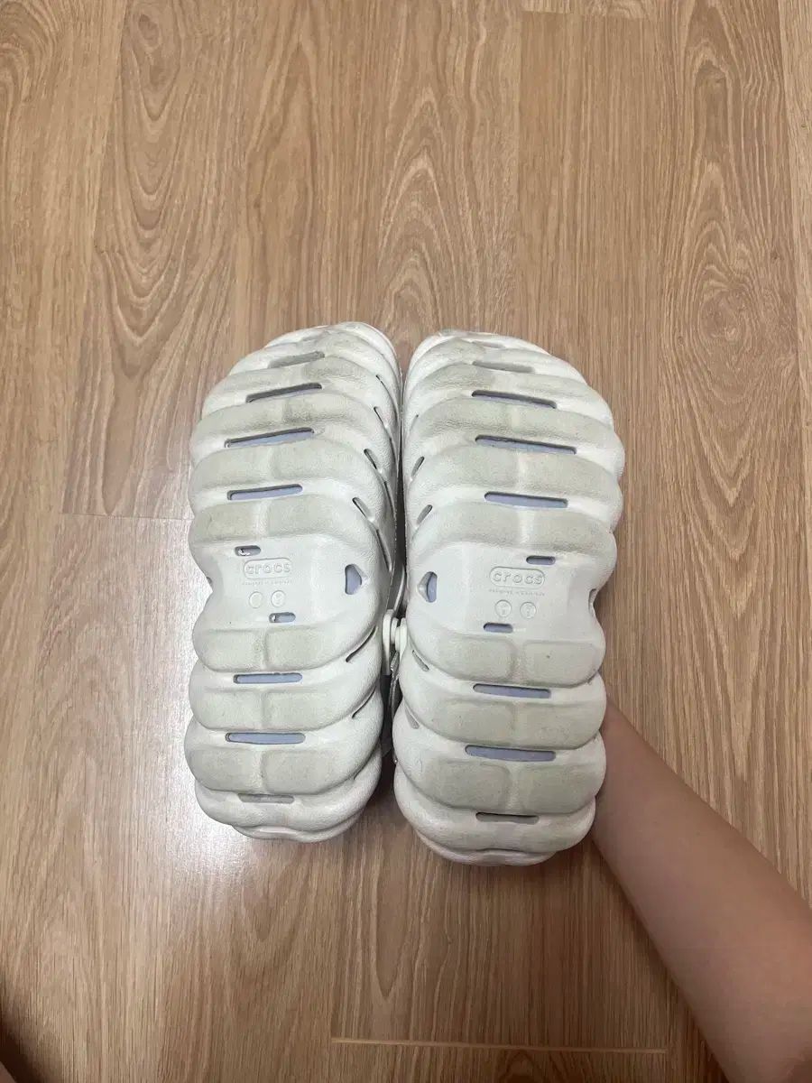 クロックス Ecco