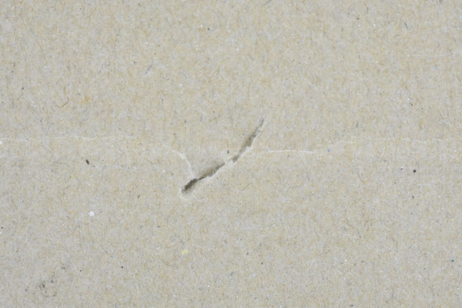 RISO 純正 トナー FⅡ S-8131 1箱2本入り リソー ITINLECAA2DE-D-N015-byebye WWW_SUPERTOOLSSHOP_NL