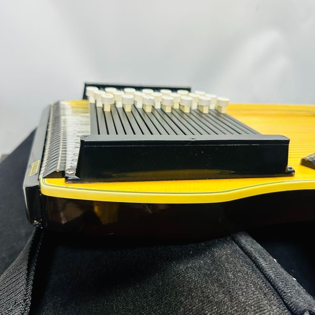 弦楽器 ハードケース付き