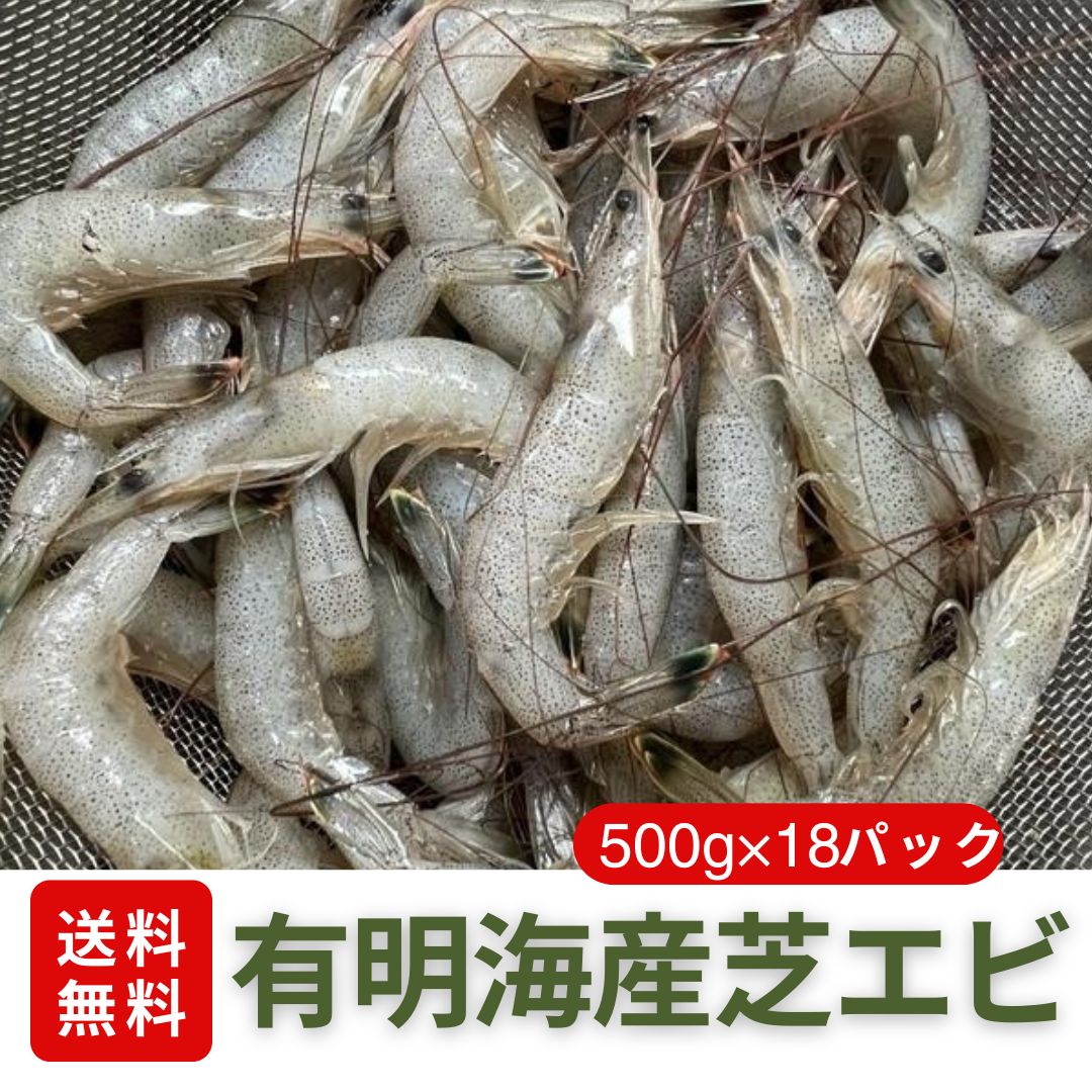 無銘 鉄地鮑貝図鐔 鍔 拵 日本刀 刀装具 骨董 古美術 江戸時代 当時物