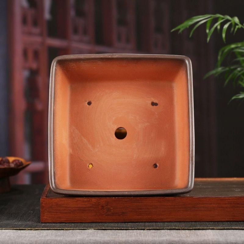 超人気 盆栽鉢 リュウゼツラン 塊根植木鉢 小品大品盆栽鉢 超人気 盆栽鉢