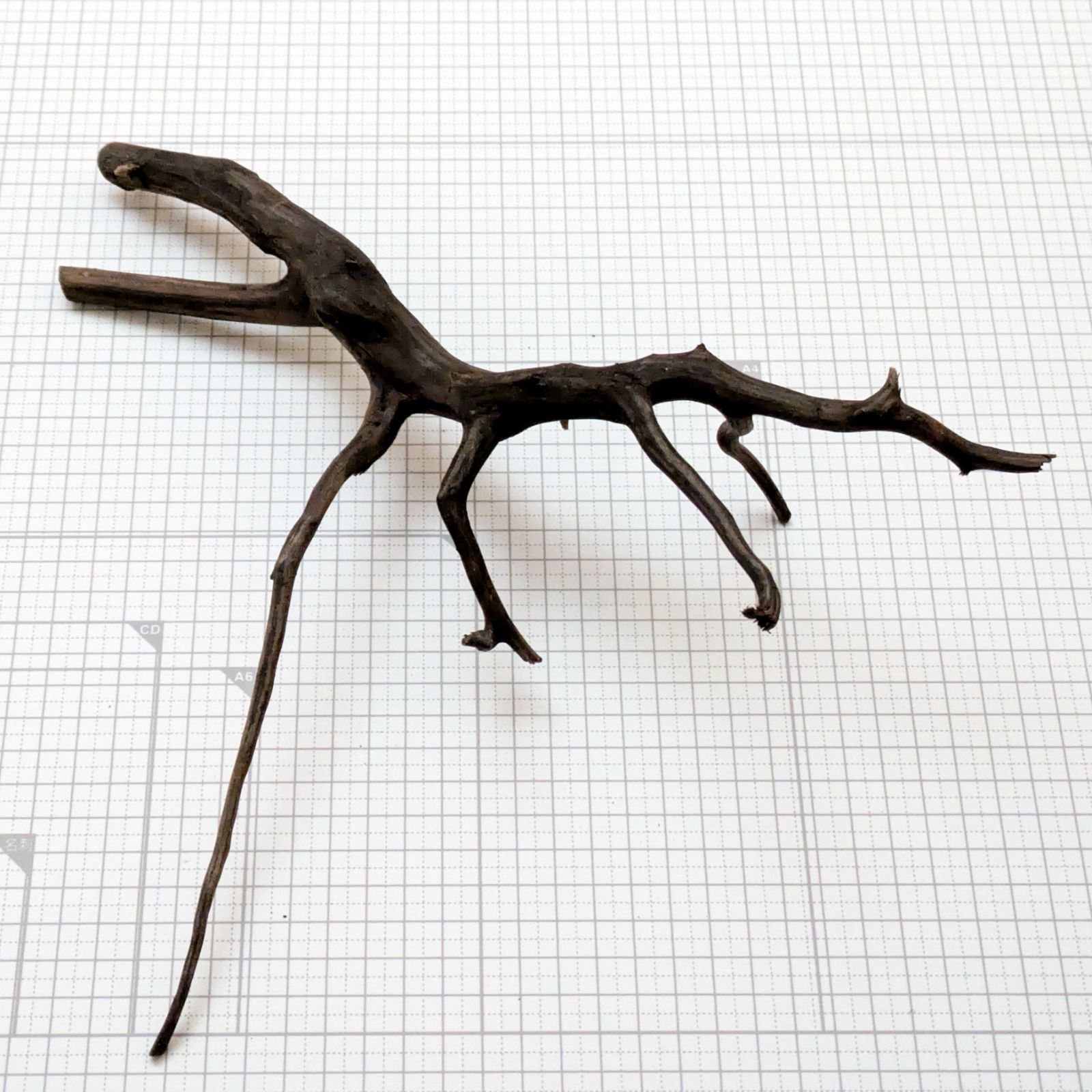 受注品：流木 約32x25x8cm ブラックブランチウッドS 複数同時購入で2品目以降