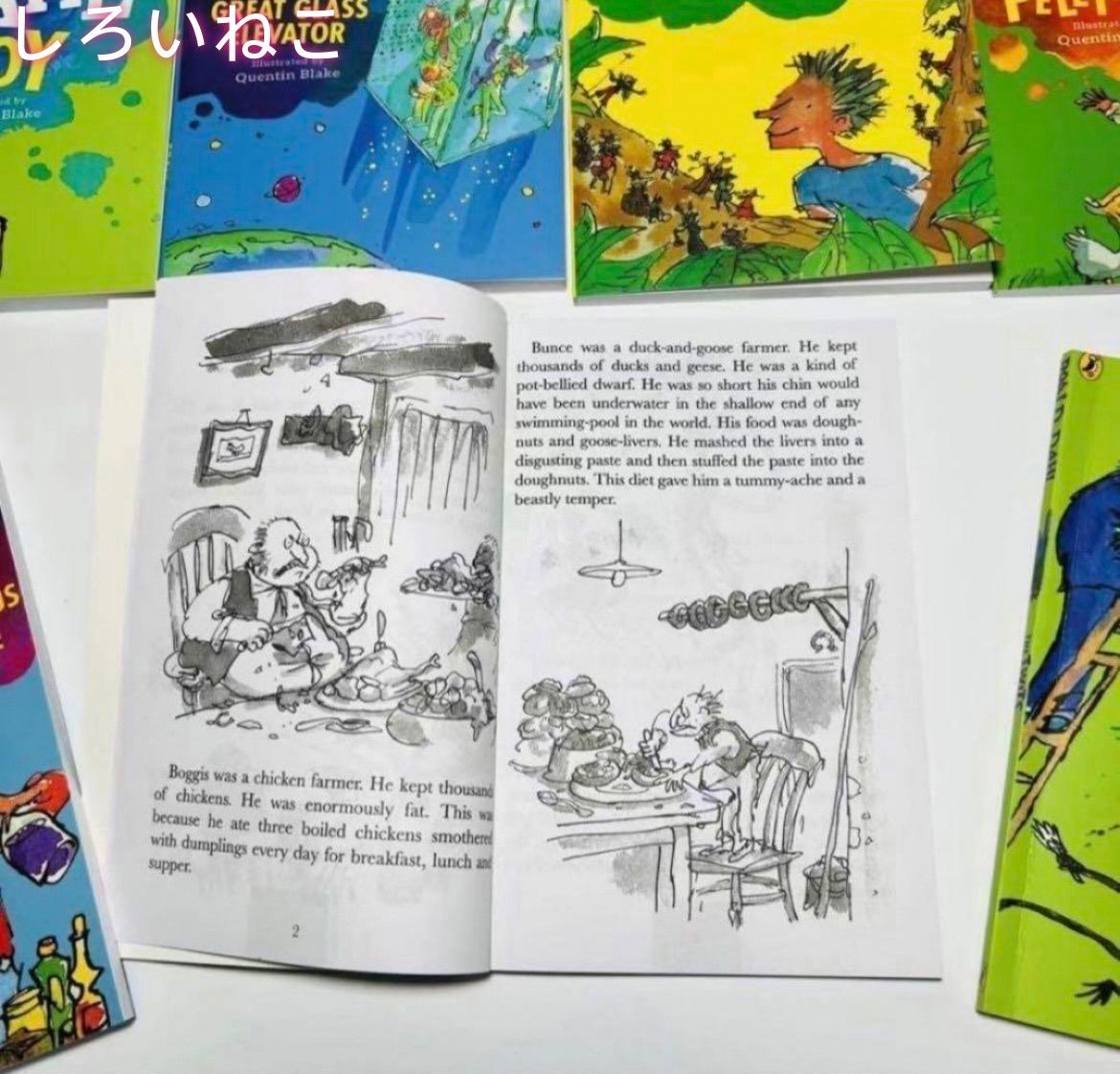 新品未開封】Roald DAHL collection 20冊 洋書 英語 - メルカリ