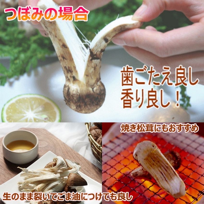 中国産 松茸” 約1kg 原体・ほんのちょっと訳あり つぼみ〜開き