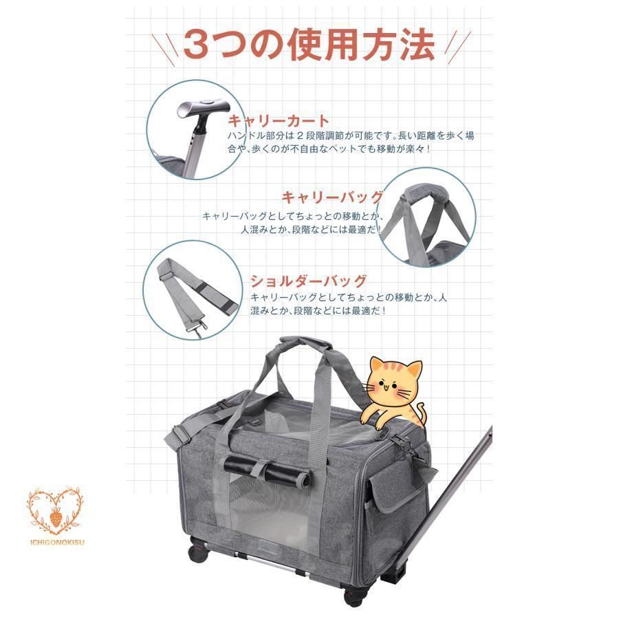 犬
