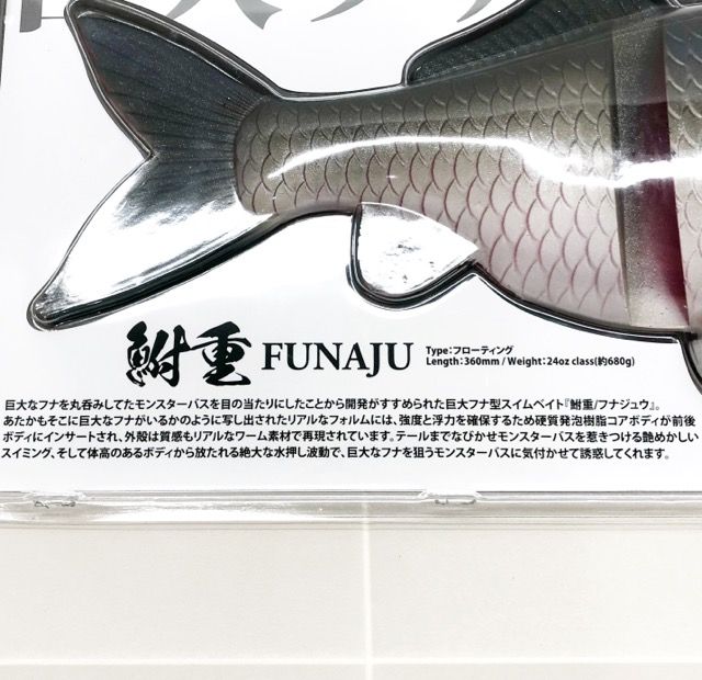 02ギンブナ