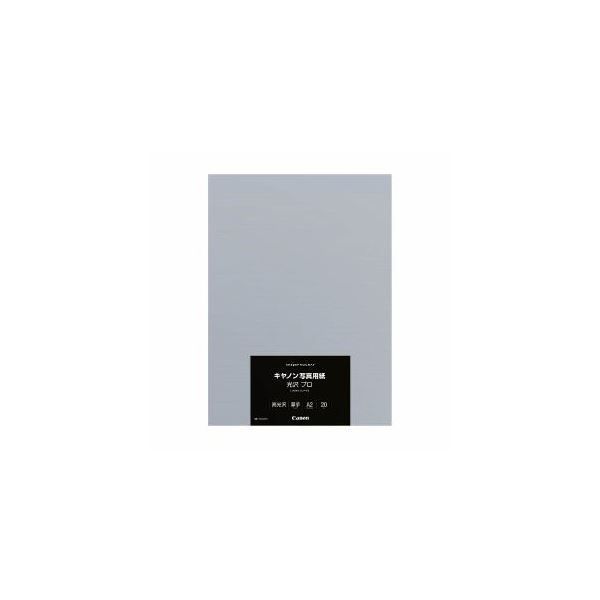 Canon 写真用紙 光沢 プロ プラチナグレード 0.30mm A2サイズ