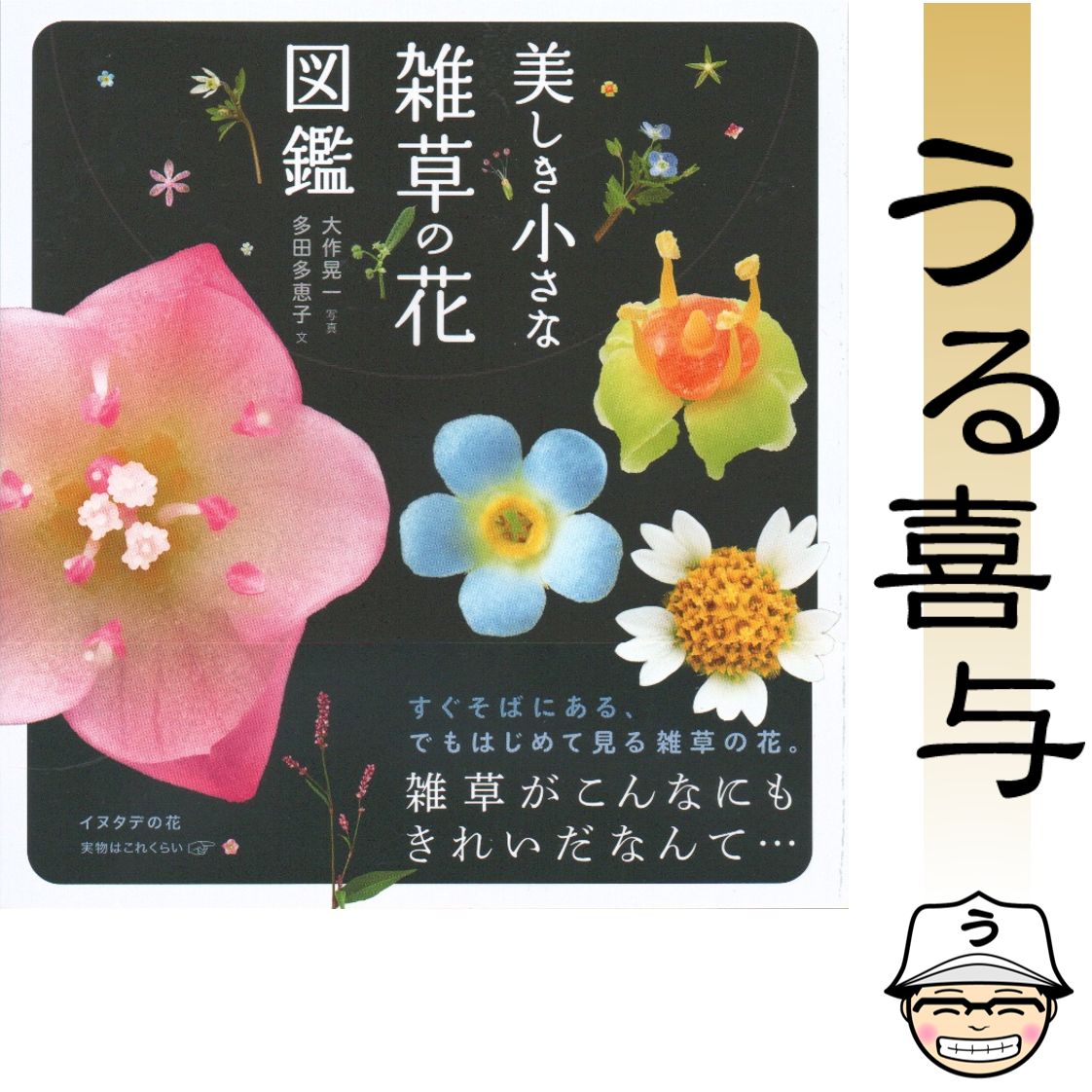 【帯付き・美品】美しき小さな雑草の花図鑑 - メルカリ