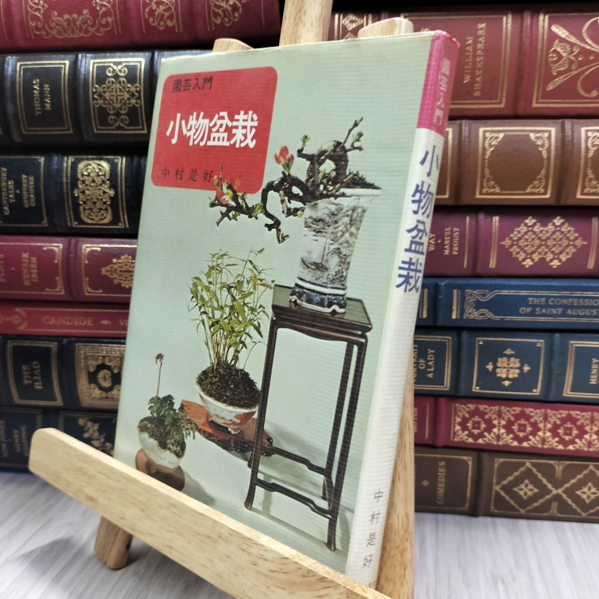 盆栽 盆栽鉢 盆栽小鉢 是好 中村是好 矩 中村是好鉢 | 盆栽鉢専門店 大和魂