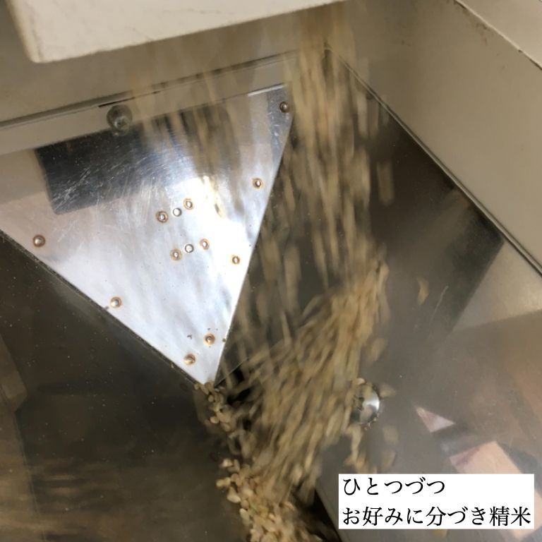 広島県産 久井あきろまん 玄米30kg 令和7年産 つきたて米 - メルカリ