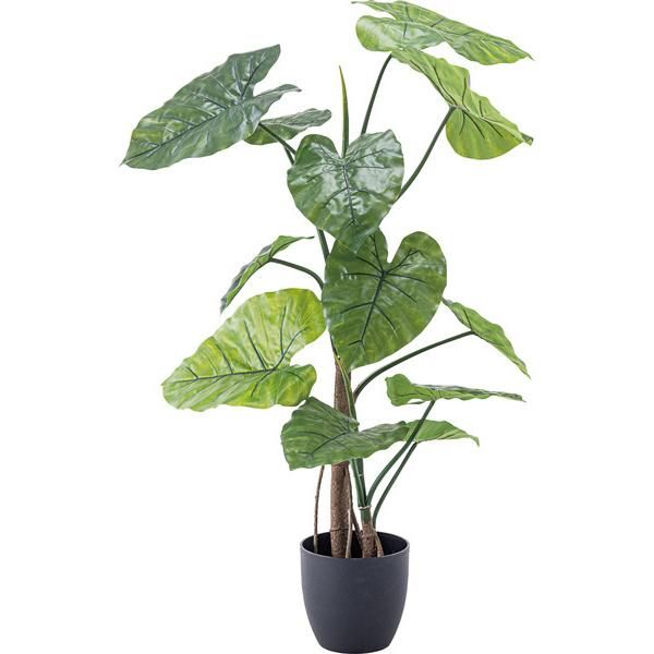 アイカツカード まとめ売り➃ セクシーブランド 割引