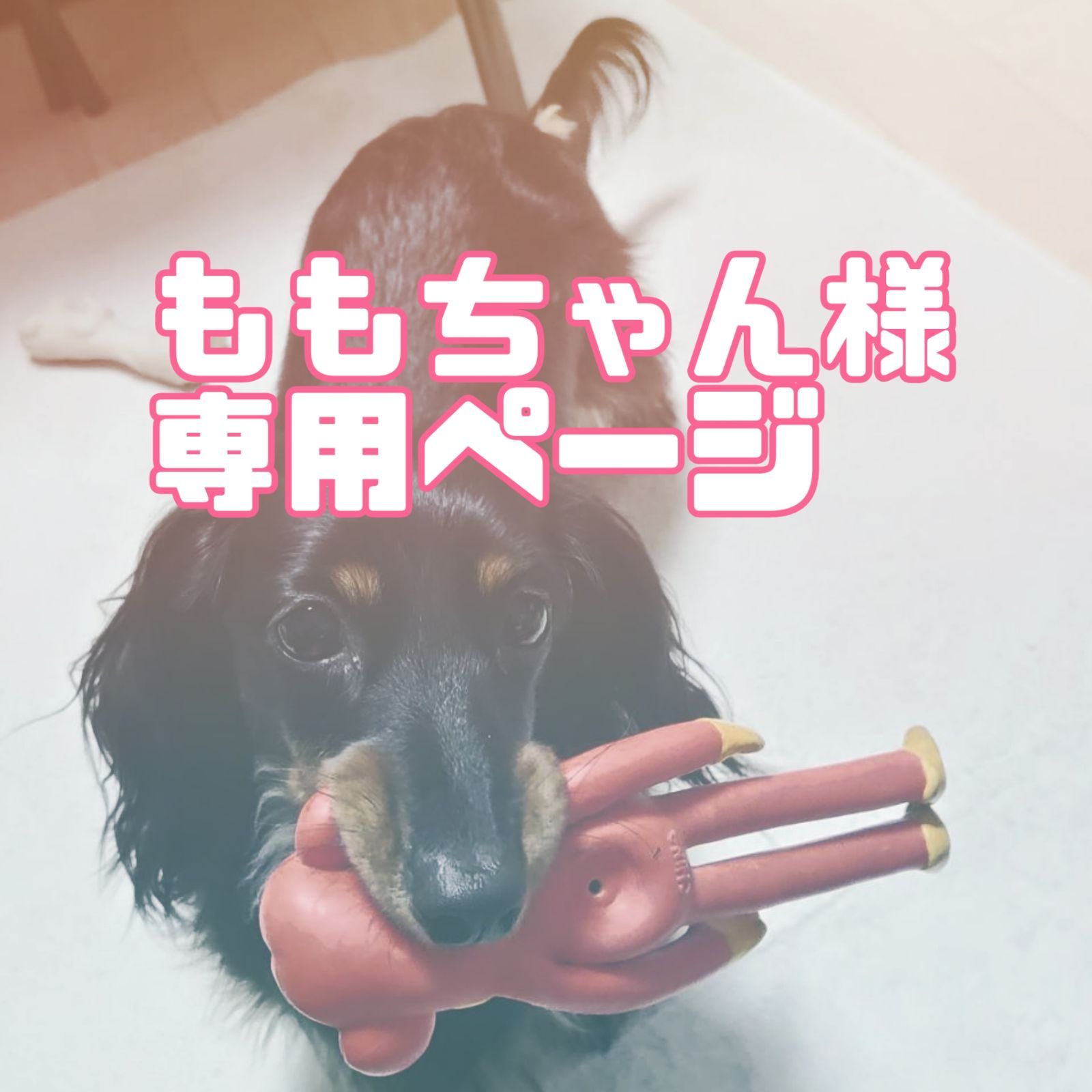 もも様専用ページ