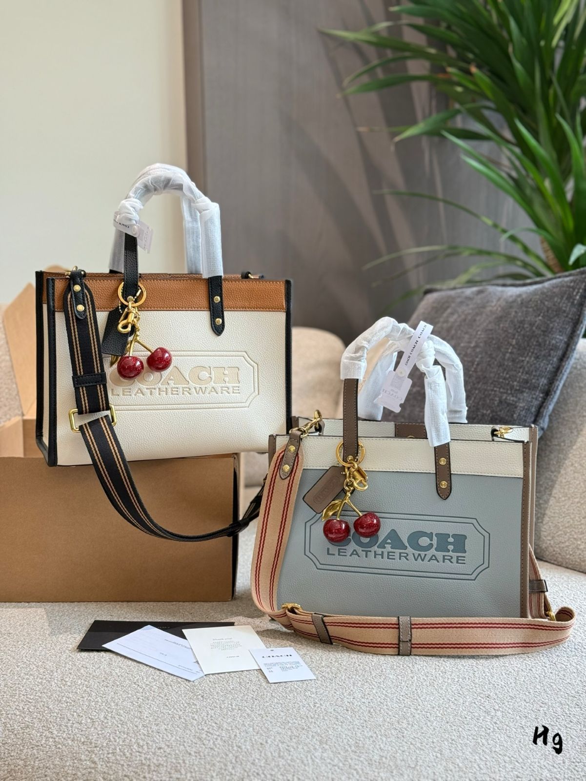 今日 COACH 30 インチ ハイエンド ショッピングバッグ ニューアイテム