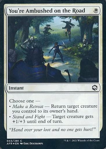 中古】マジックザギャザリング 043/281[C]：【AFR】【FOIL】You