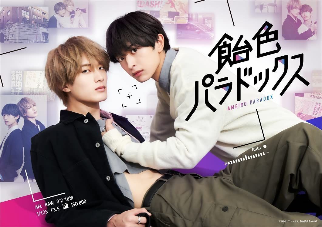 1000枚限定]佐賀県限定SUGOCA Goodday SAGA