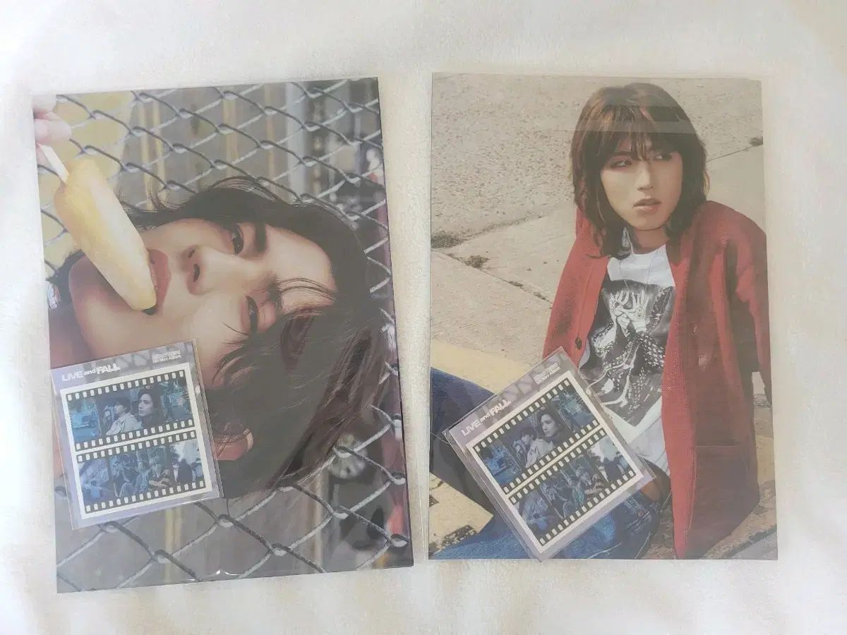 エクディズ　ジュンハン　トレカ エクディズ ジュンハン トレカ Junhan Official Photocard