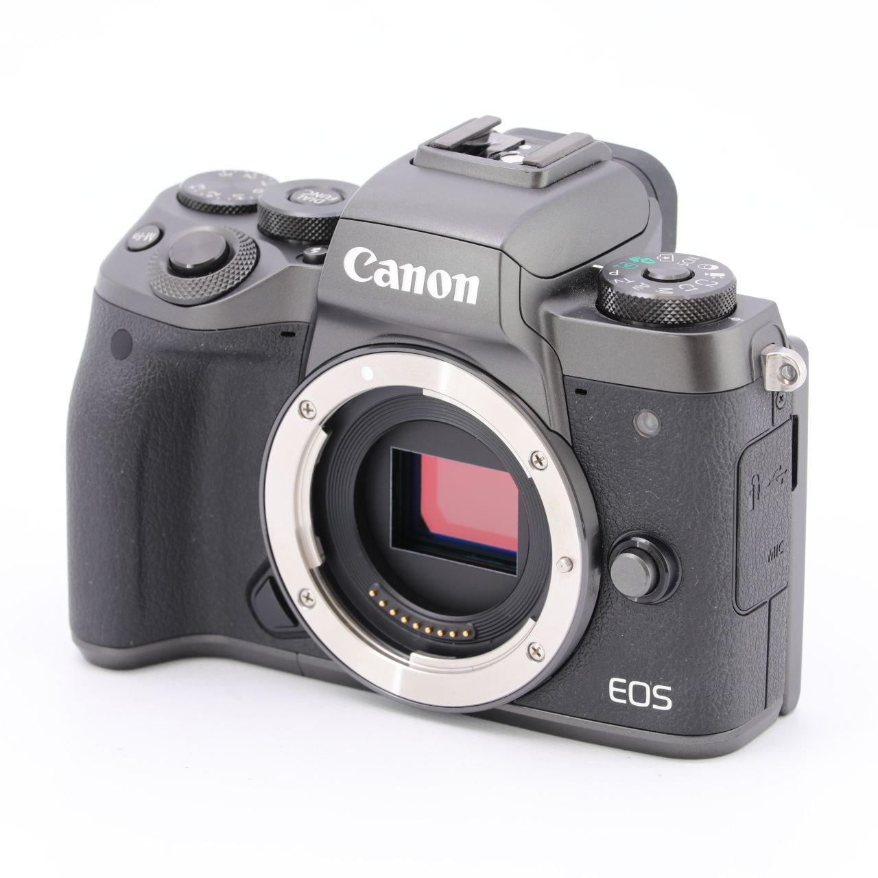 配送日指定可 Canon ミラーレス一眼カメラ EOS M5 ボディー EOSM5-BODY 通販