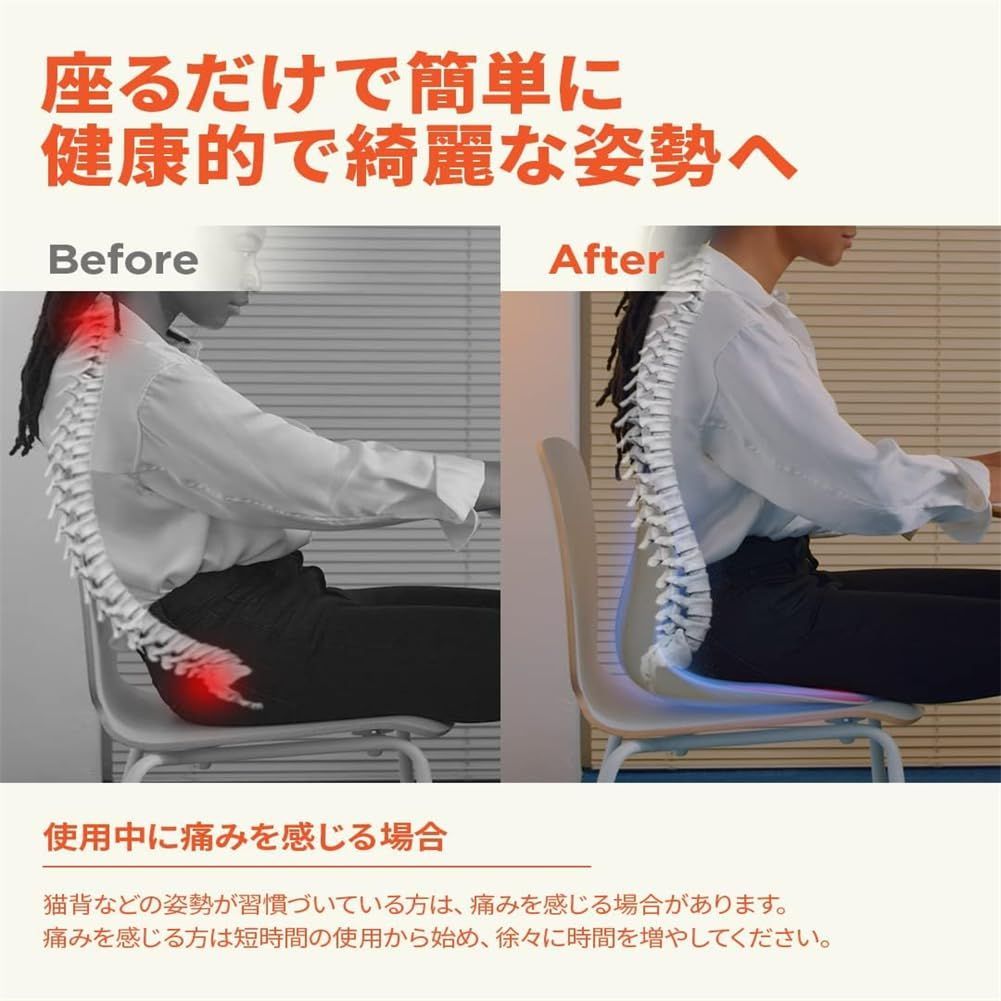 ピンセスジ 骨盤サポート姿勢改善 - その他