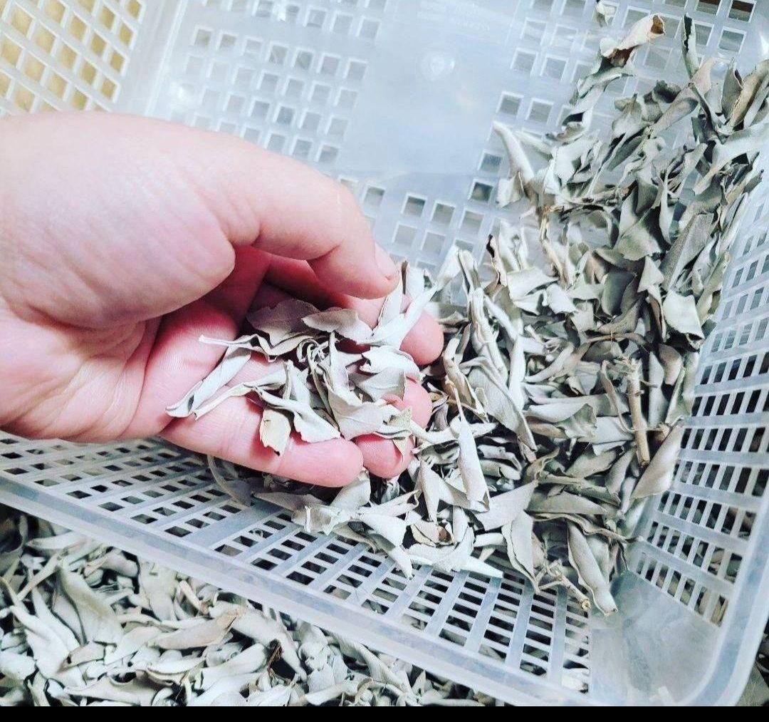 激安価格☆無農薬ホワイトセージリーフ50g説明書付き箱入りお香