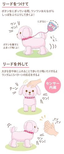 マザーガーデン とことこ おさんぽ プードルちゃん 茶〔動く