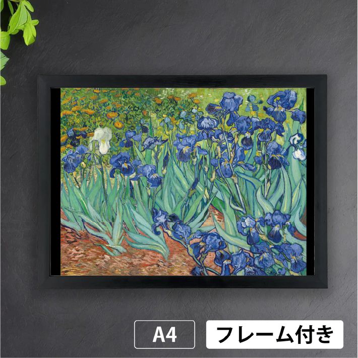 絵画  アートポスター 　静物画  黄菖蒲  アイリス 絵画 アートポスター 静物画 黄菖蒲 アイリス