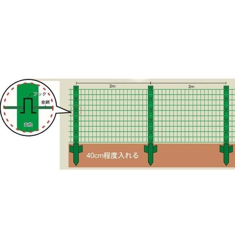 支柱高さ1.83ｍ 11本セット