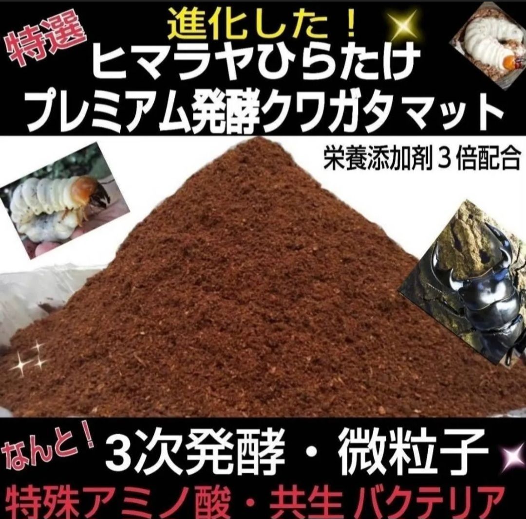 12本セット