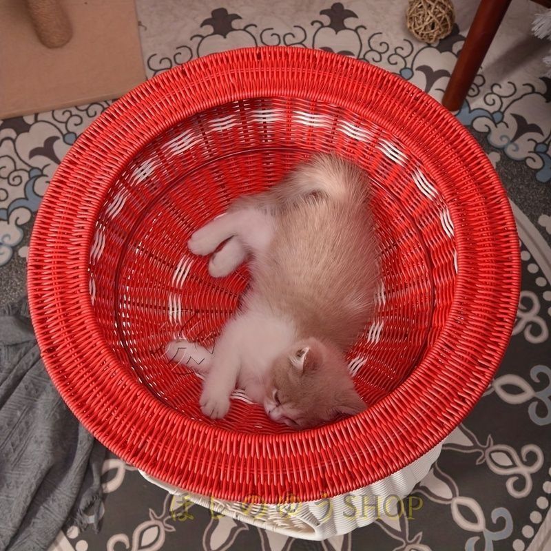 猫 ベッド