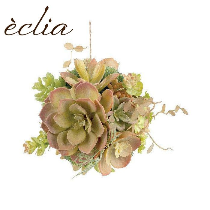 い*ご様 K1185 粉月影 70株 多肉植物 抜き苗 エケベリア 韓国苗