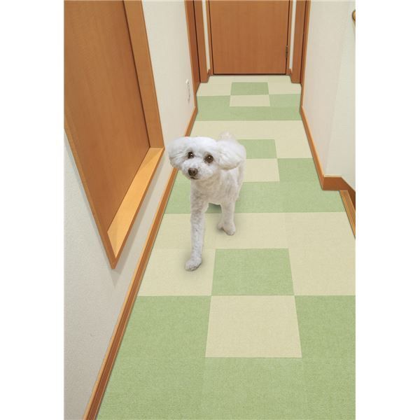 グリーン ペット用品