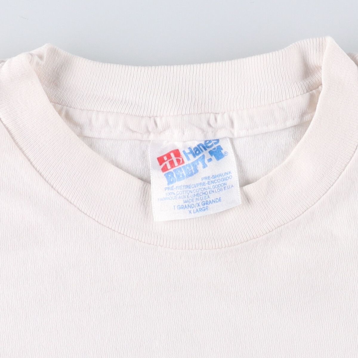 古着 90年代 ヘインズ Hanes BEEFY-T アニマル柄 鳥柄 アニマルT
