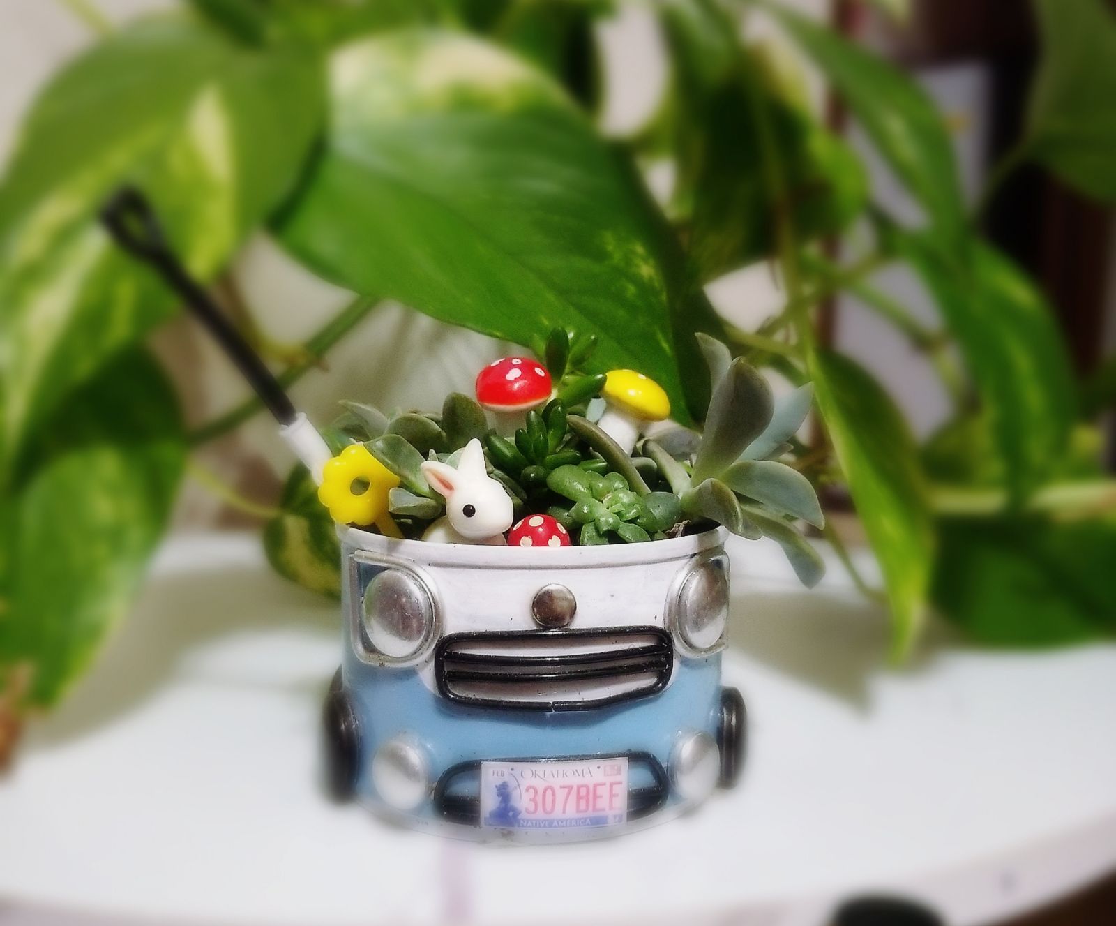 リメイク缶 ミニクーパー 3色セット 車 多肉植物の鉢に 小物入れに
