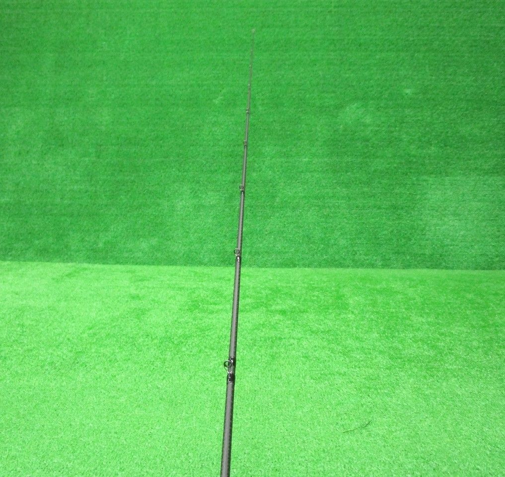 ECH豊 エバーグリーン