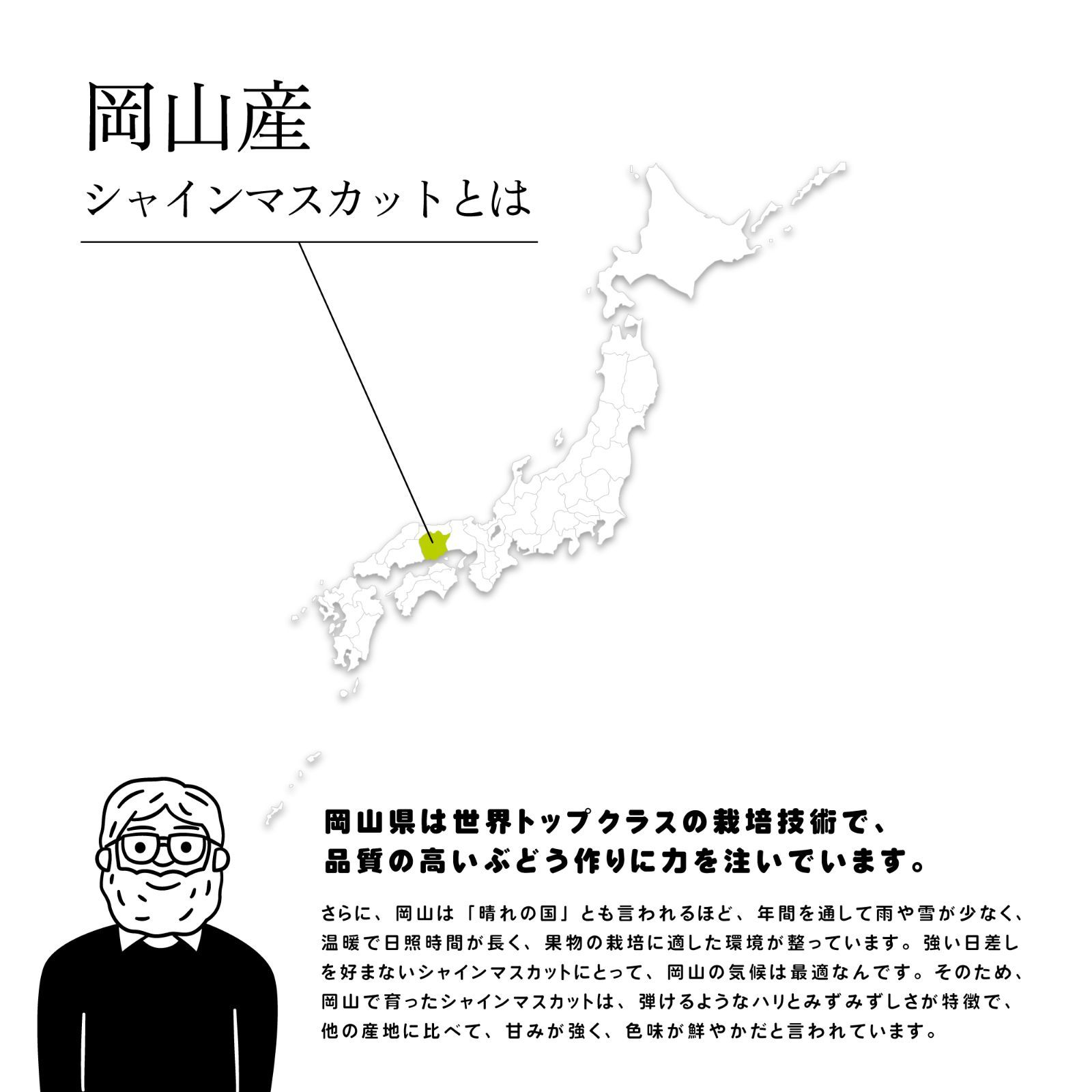 3〜5房入り 化粧箱入り