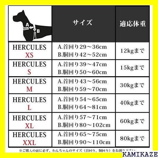 ☆ ファープラスト ヘラクレス HERCULES P ハー XL サイズ 959