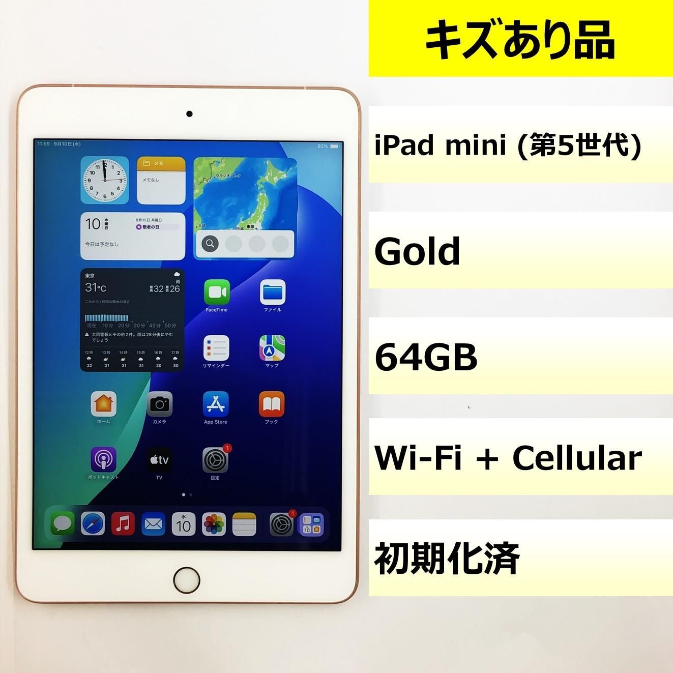 キズあり品 iPad mini 第5世代 Wi-Fi Cellular|64GB|353178103055239