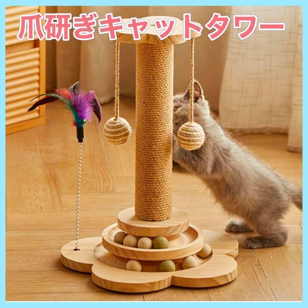 安く 買う 方法ペット用品 - 三晃商会 SANKO レプタイルボックス