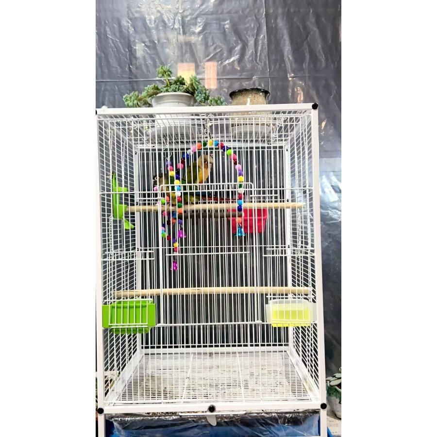 未使用　新品　鳥ケージ　大型　鳥ガゴ 鳥 ケージ 7点セット 大型インコ用 鳥かご エサ入れ 水入れ お
