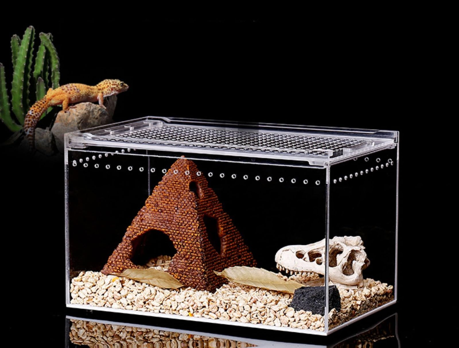 アクリル製爬虫類飼育ケージ 6個　シェルター1つおまけ COZENTA 爬虫類 ケージ シェルター アクリル製 トカゲ 蛇 サソリ 飼育